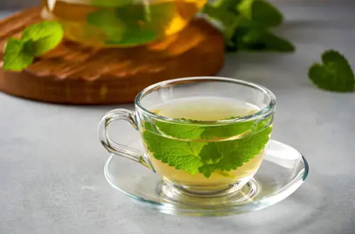 Novislim Kapseln germany Ingredient Lemonbalm-Extrakt