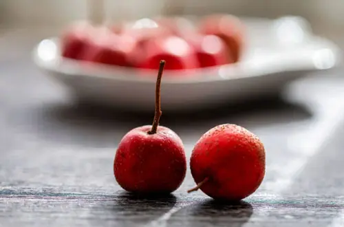 Novislim Kapseln germany Ingredient Weißdorn-Extrakt